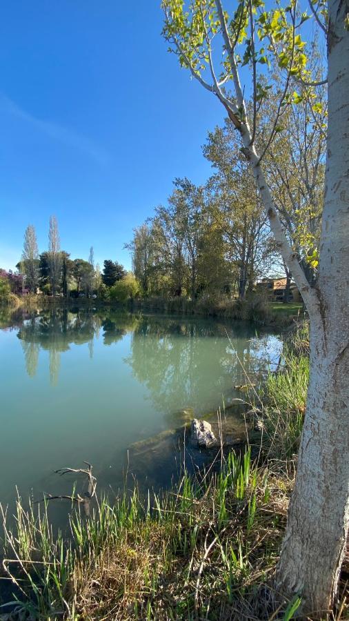 Joli 27m2 Oasis Provencale En Village En Camargue Arles