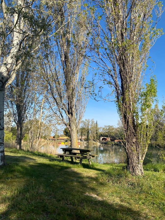 Apartment Joli 27m2 Oasis Provencale En Village En Camargue Arles