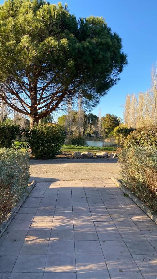 Joli 27m2 Oasis Provencale En Village En Camargue Apartment Arles