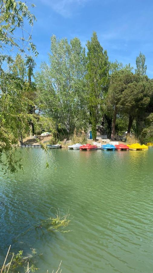 Joli 27m2 Oasis Provencale En Village En Camargue
