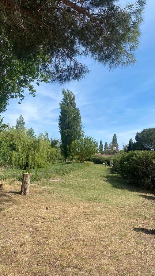 Joli 27m2 Oasis Provencale En Village En Camargue Apartment *